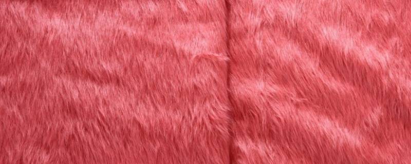 丹麦貂绒是什么材质 环保丹麦貂绒是什么材质