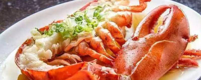 波士顿龙虾能活多久 一斤多波士顿龙虾要蒸多久