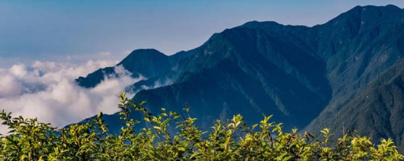 温差大怎么发朋友圈（南北温差大的经典语录）