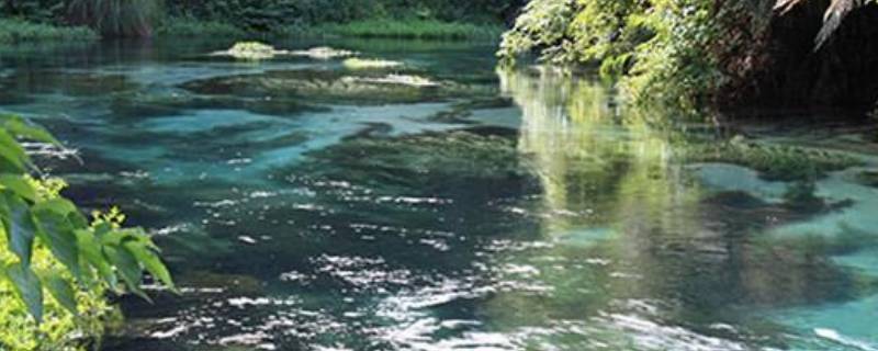 淡水资源包括哪些 淡水资源包括什么哪几个