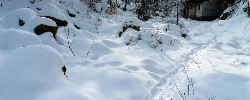 象征冬天的东西有哪些 象征冬天的东西有哪些名字