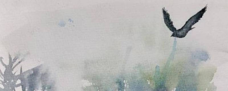 无脚鸟的寓意是什么 无脚鸟的寓意是什么意思