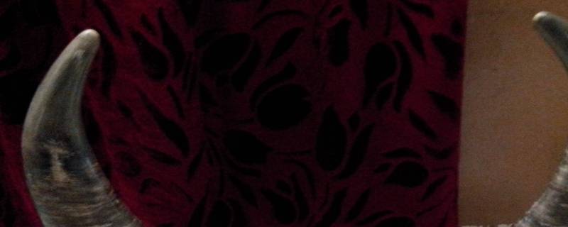 牛角有裂纹了能修复了吗 牛角裂了怎么修复