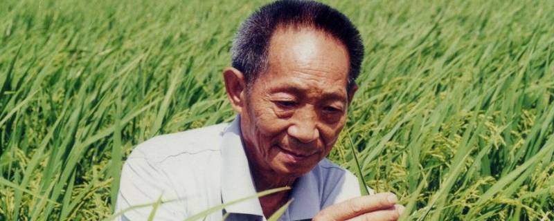 南袁北李指的是谁（南袁北李是什么意思）