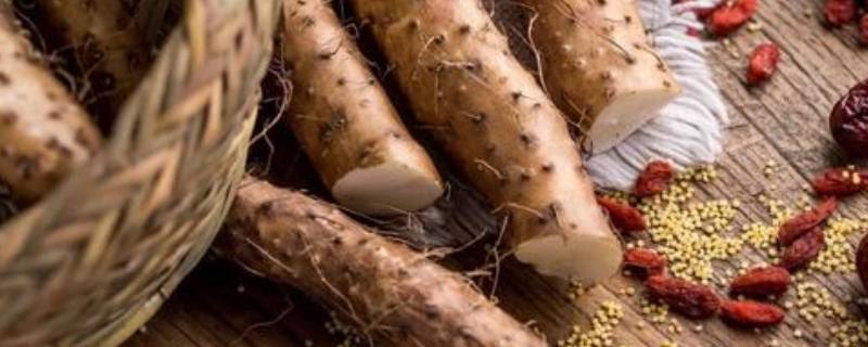 腐烂变质的山药什么样 山药 腐烂的图片是什么样的