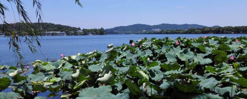 昭德县在哪（昭德县彝族是哪个省的）