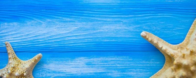 常见的蓝色东西有哪些 常见的蓝色东西有哪些呢