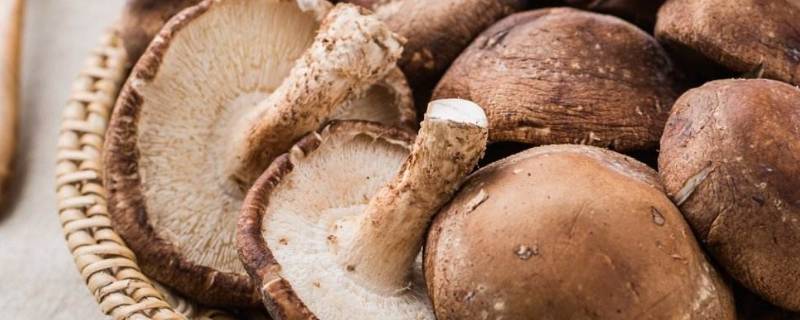 香菇坏了是什么样子的 香菇变黑图片