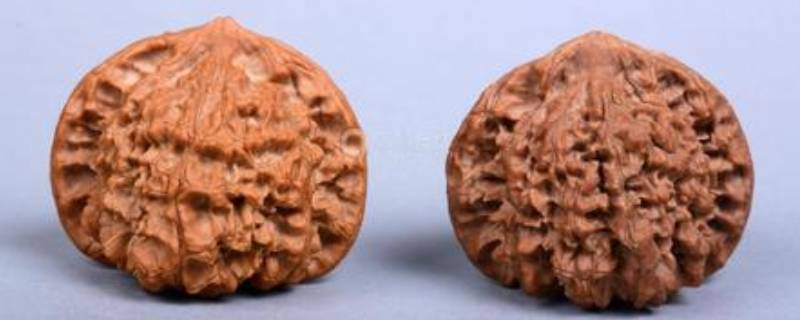 文玩核桃底部能抠掉吗 文玩核桃底部能抠掉吗图片