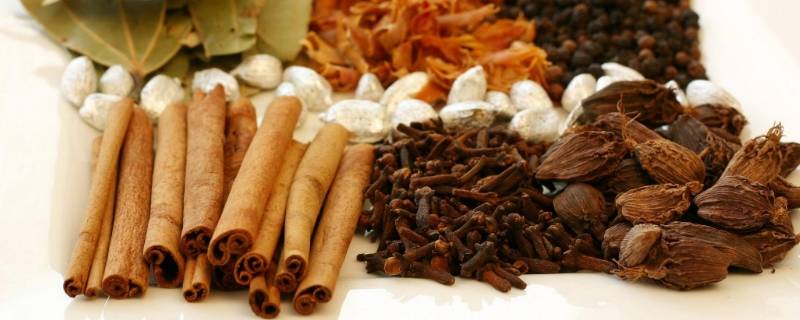 炖肉的香料有哪些 炖肉调料大全