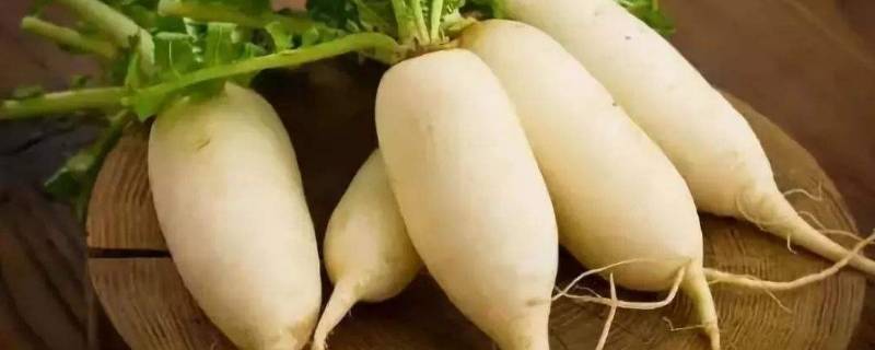 白萝卜放冰箱能放几天（白萝卜放冰箱里能放多久）