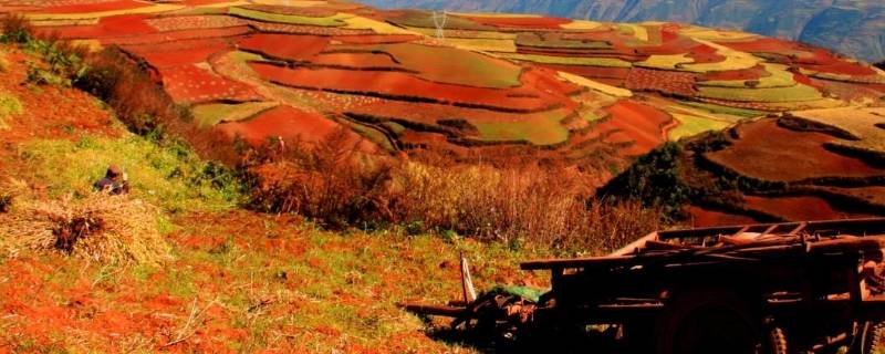 东川省是哪里（东川省哪里拍的）