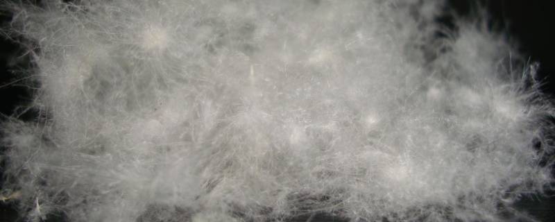 90白鸭绒和95白鸭绒的区别 90白鸭绒和95白鸭绒的区别在哪里