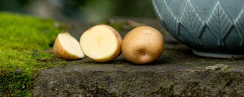 土豆里面有黑色条纹能吃吗 土豆里面有黑色条纹能吃吗图片