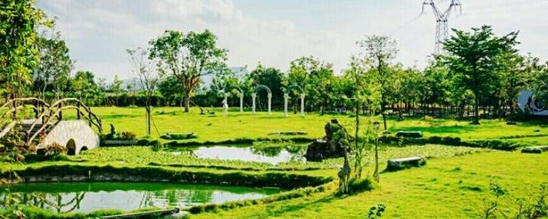 亚维浓生态园在哪里 亚维浓生态园的植物有哪些