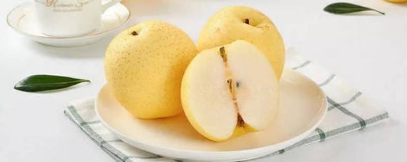 送梨的寓意是什么意思（送梨的寓意是什么意思和含义）