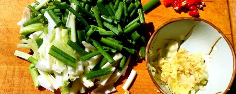 一天长一葱是多长时间（一天长一葱是什么意思）