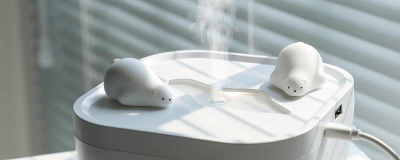 开暖气要开加湿器吗（开暖气要开加湿器吗为什么）