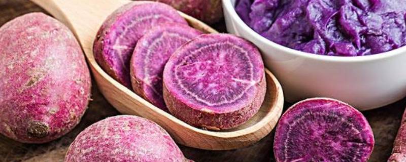 紫色的蔬菜有哪些 紫甘蓝的功效与作用