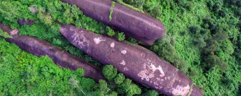 三鲸石是什么（三鲸岩石）