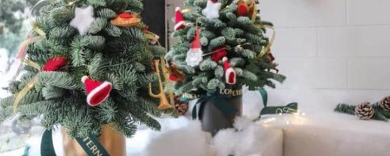 诺贝松的寓意 诺贝松介绍