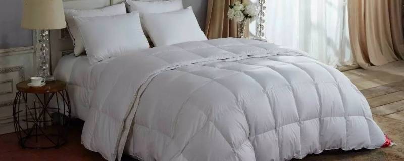 羽绒被能在太阳底下晒吗 羽绒被能在太阳下面晒吗