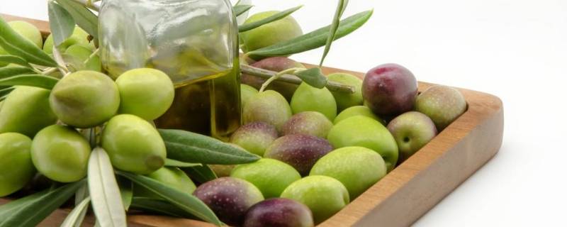 金香榄可以直接吃吗（金香榄可以泡水喝吗?）