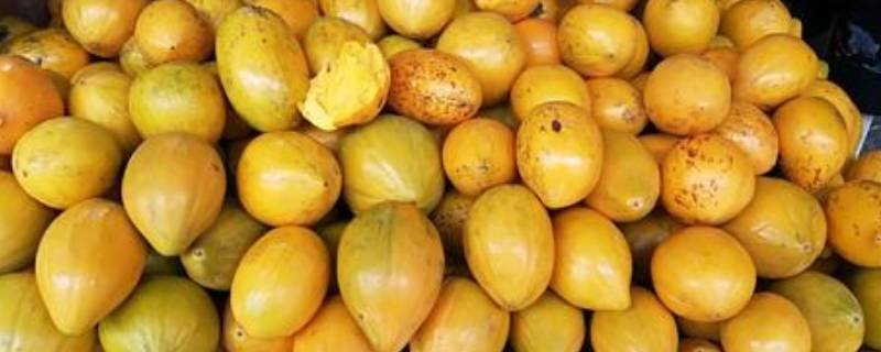鸡蛋果怎么催熟快 鸡蛋果怎样催熟才不破皮