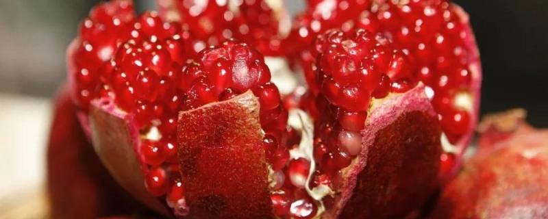 石榴和柚子可以一起吃么 石榴和柚子可以一起吃么吗