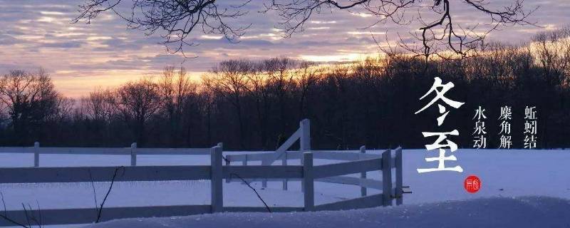 冬至节要吃什么（冬至节要吃什么东西）