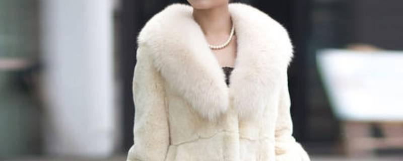 獭兔毛怎么洗（獭兔毛怎么洗蓬松）