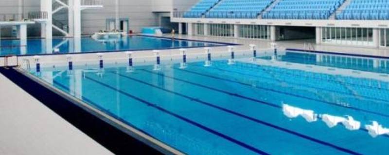 标准泳池的长和宽是多少米 国际标准泳池的长和宽是多少米