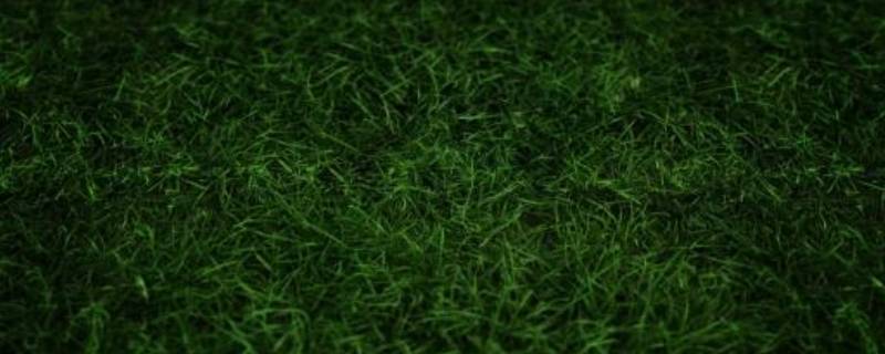 绿色加什么颜色变深绿 绿色加什么颜色变深绿做核酸表情包