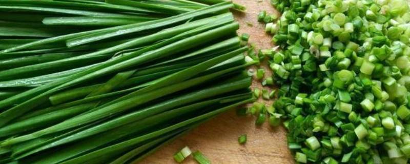 韭菜不见光就是韭黄吗（韭黄最简单种植方法）