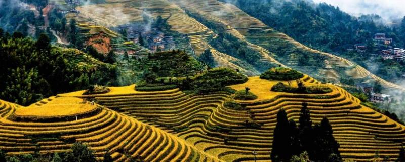 龙脊梯田在广西哪个县（龙脊梯田位于广西桂林,有2000多年的开垦历史）