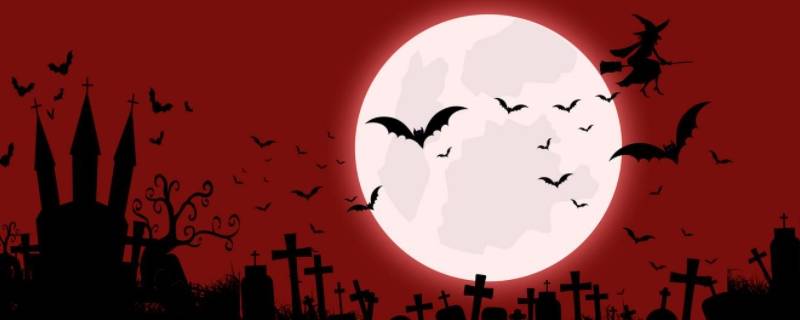 蝙蝠是一种小型兽类还是昆虫 蝙蝠是一种小型兽类还是小型昆虫