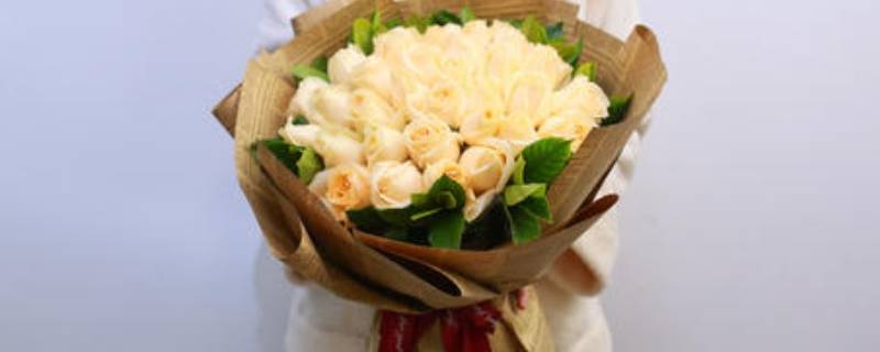 33朵香槟玫瑰代表什么意思（33朵香槟玫瑰多少钱）