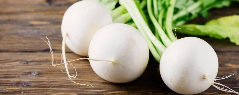 蛮茎是什么菜 蛮茎是什么菜怎么吃