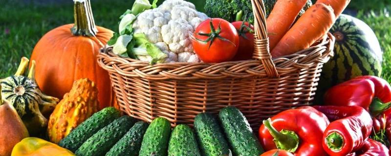 可以当染色剂的水果蔬菜（可以染色的蔬菜水果有哪些）