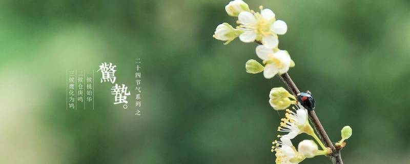 惊蛰到来后会有什么变化（惊蛰到来后会有什么变化?）