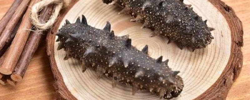 一斤干海参大约多少个 一斤干海参大约多少个的好?