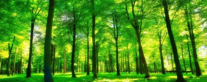 什么颜色能调出绿色（什么颜色和什么颜色能调出绿色）