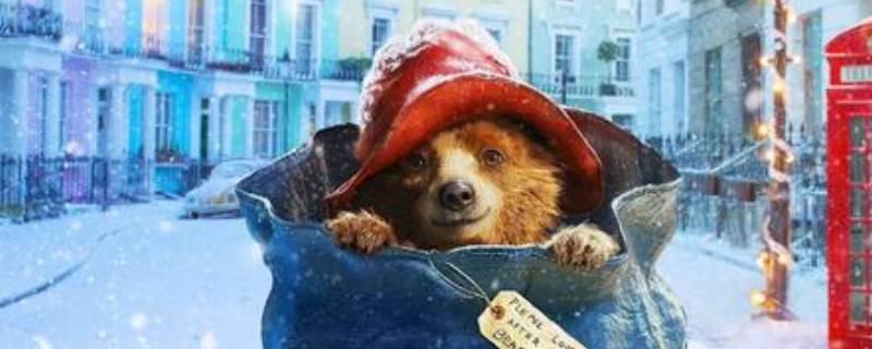 熊有尾巴吗 小浣熊有尾巴吗