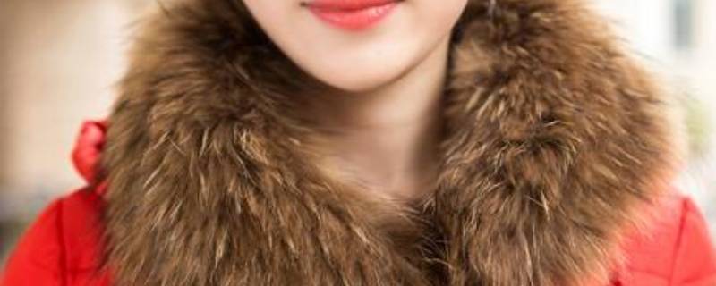 貉子毛是什么动物的毛 貉子毛是什么动物的毛黑色