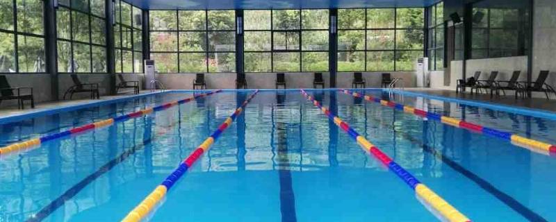 标准比赛游泳池长多少米（标准游泳馆多少米）