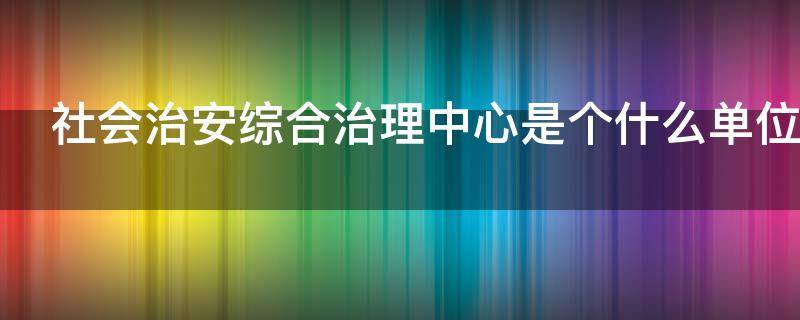 社会治安综合治理中心是个什么单位（太原市社会治安综合治理中心是个什么单位）