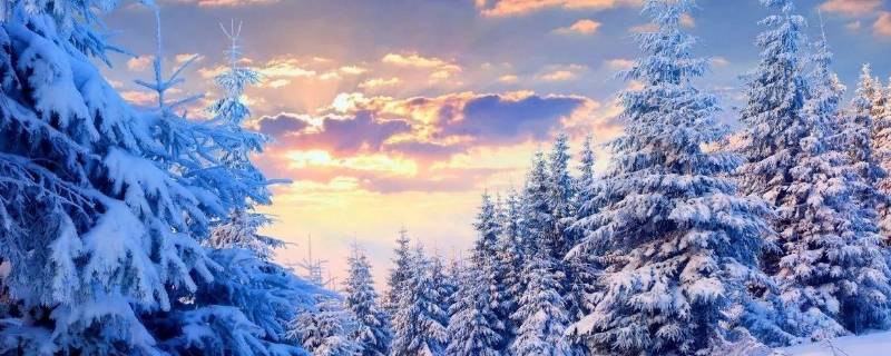 深冬一般指什么时候 深冬是几月几号