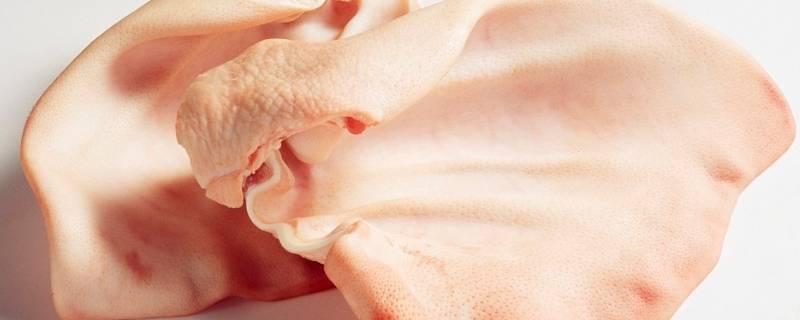 猪的耳朵像什么形状（猪的耳朵像什么比喻句）