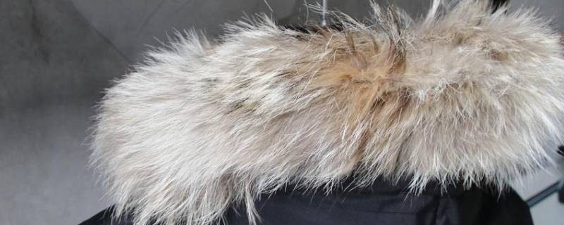 嗠子毛怎么打理（痦子上的毛怎么去掉）