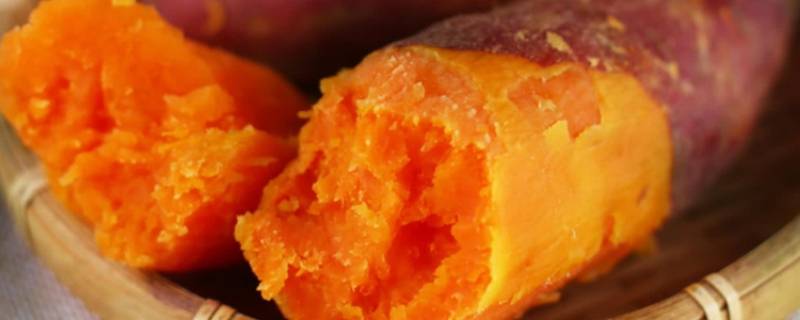 红薯怎么储存过冬不会坏（红薯怎么储存过冬不会坏呢）